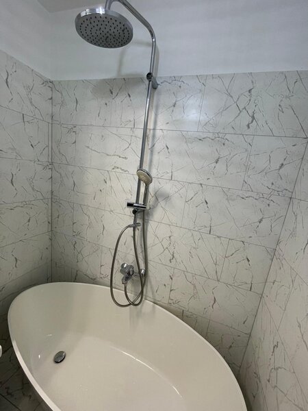 Piata Victoriei, Iancu de Hunedoara.